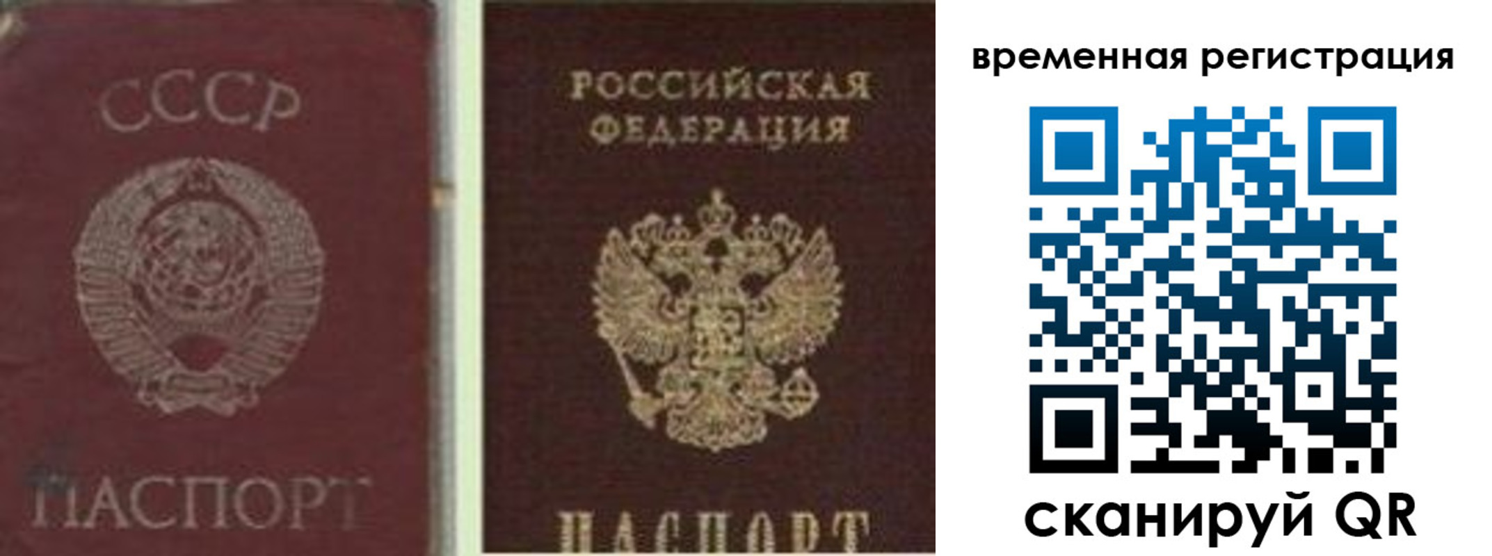 найти адрес прописки в Зеленоградске